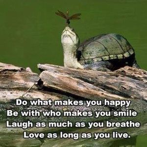 Meet your Posher, Katharine